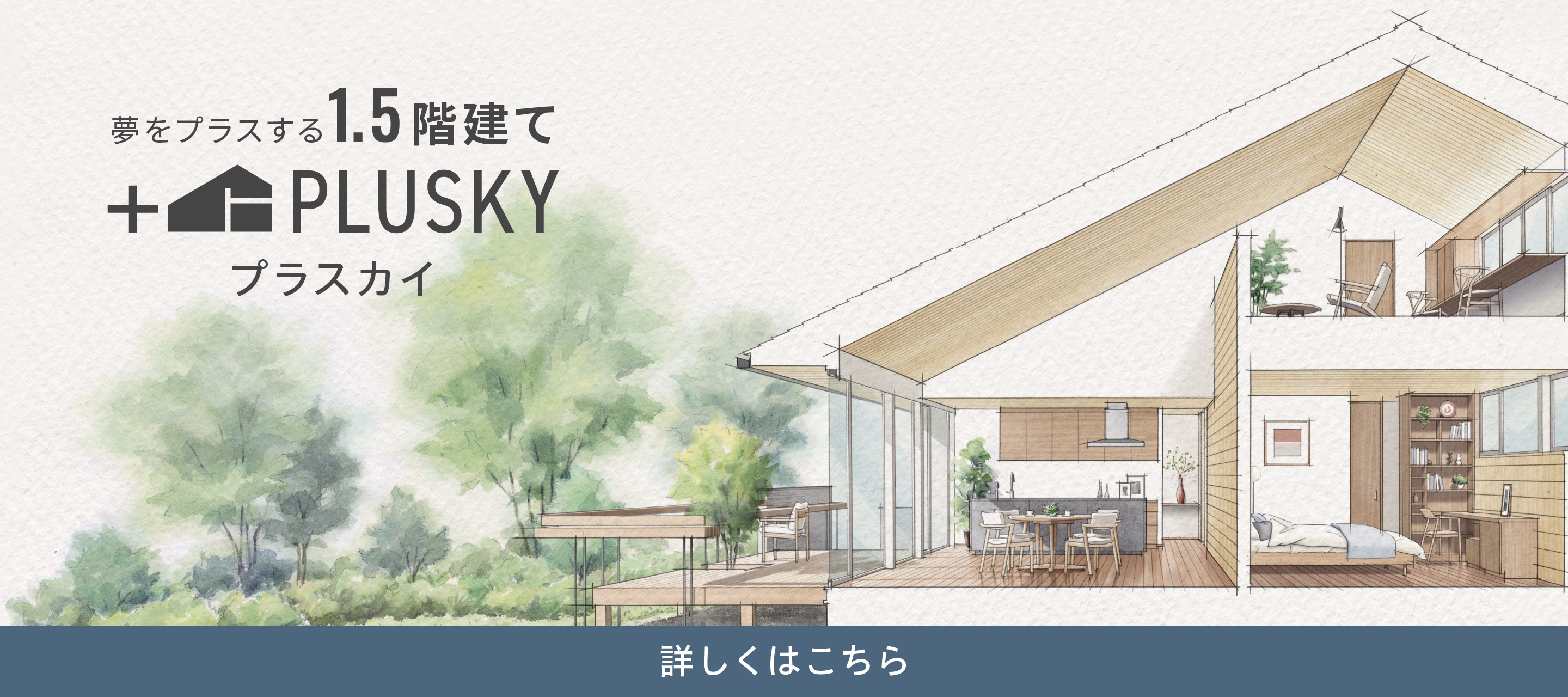 PLUSKY