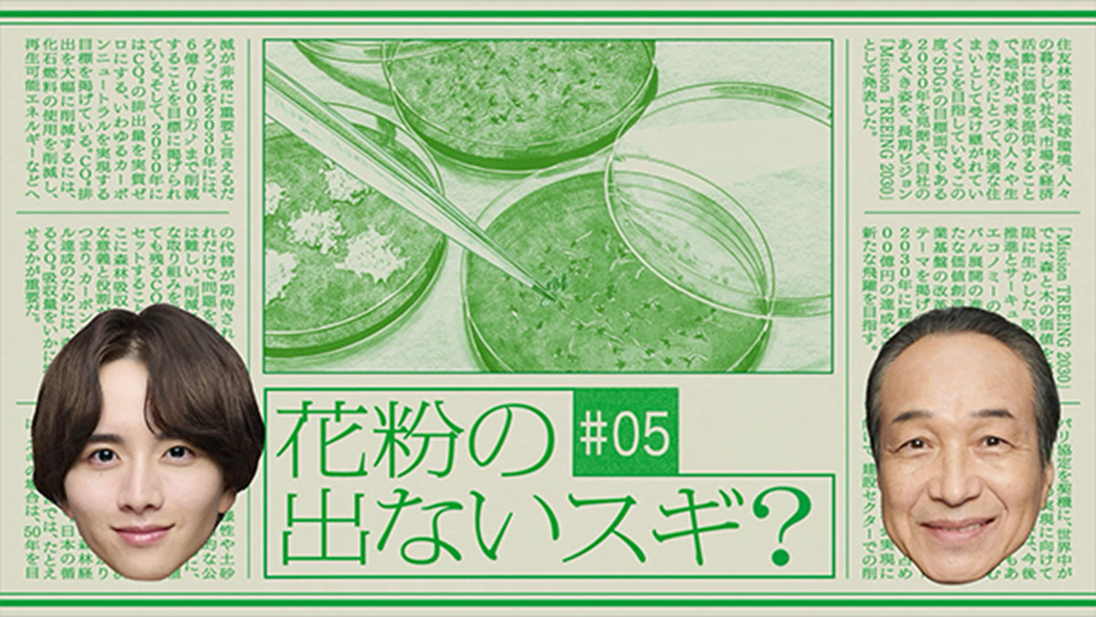 NEWS#05 無花粉のスギ篇のサムネイル