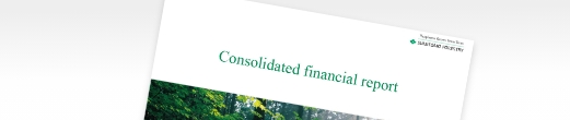 Consolidated financial Report