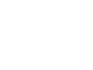 Sales/Product Development