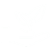Seedling Farming and Cultivation