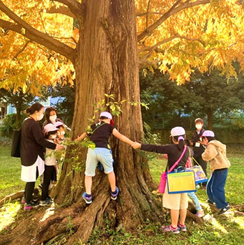 Garden Tour for Elementary School Students: “Measuring Trunk Circumference with Everyone“