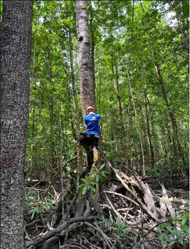 Vegetation survey (BIOS)