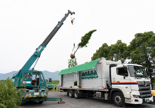 Scene of tree delivery