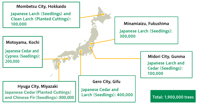 Cultivating Sumitomo Forestry Seedlings Throughout Japan