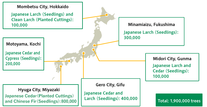 Sumitomo Forestry's seedlings production systems