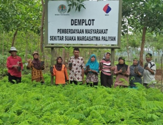 Local Agricultural Society Members Cultivating Seedlings to Distribute as Social Forestry