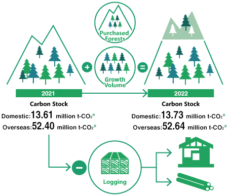Carbon Stock of Forests in Japan and Overseas