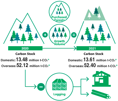 Carbon Stock of Forests in Japan and Overseas