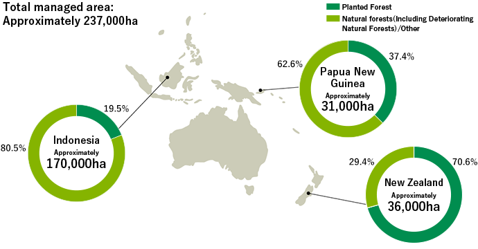 Distribution and Area of Overseas Forestry Business Sites (as of end of December 2024)