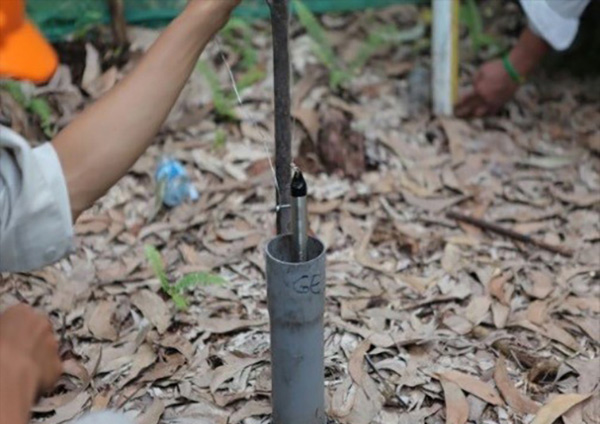 Monitoring the water level in peatlands