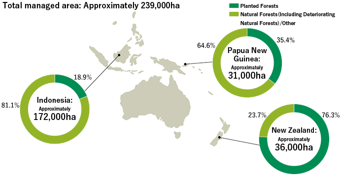 Distribution and Area of Overseas Planted Forests (as of December 31, 2022)