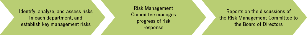 Management process of business risks