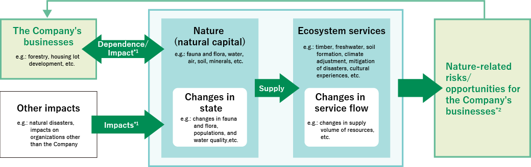 Relationship between Sumitomo Forestry's business and nature (examples)
