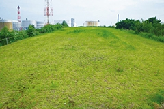 Grass laid on the site where a gasoline station once stood