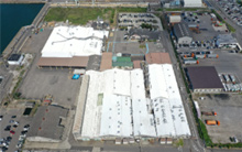 Niihama Plant