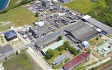 Imari Plant
