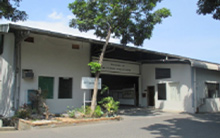 PT. Sinar Rimba Pasifik (SRP)