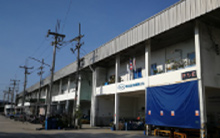 Pan Asia Packing LTD. (PAP)