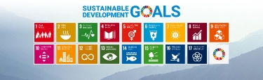 Contributions to the SDGs and Material Issues