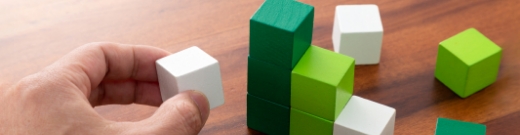 Long-term Vision and Material Issues