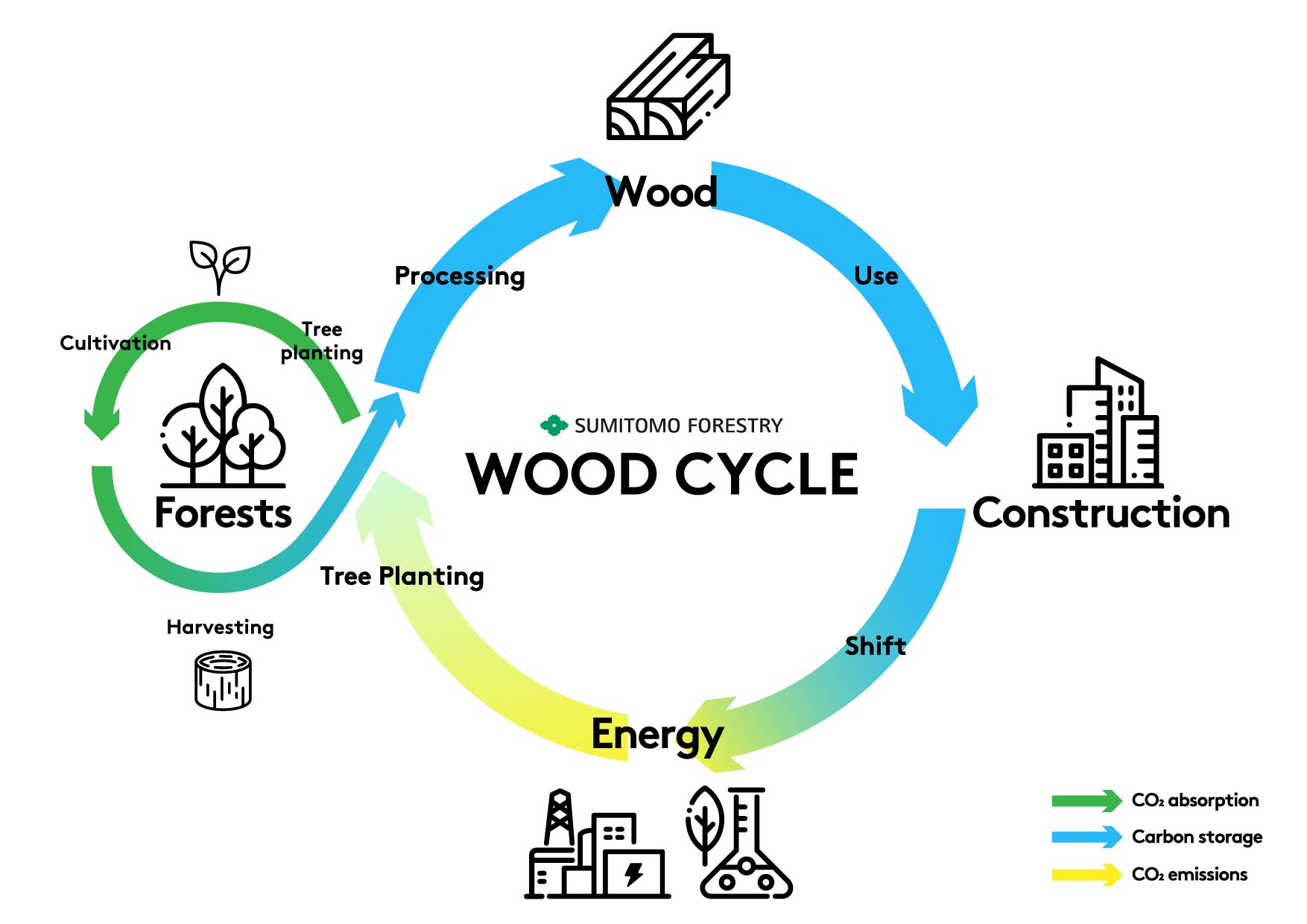 WOOD CYCLE