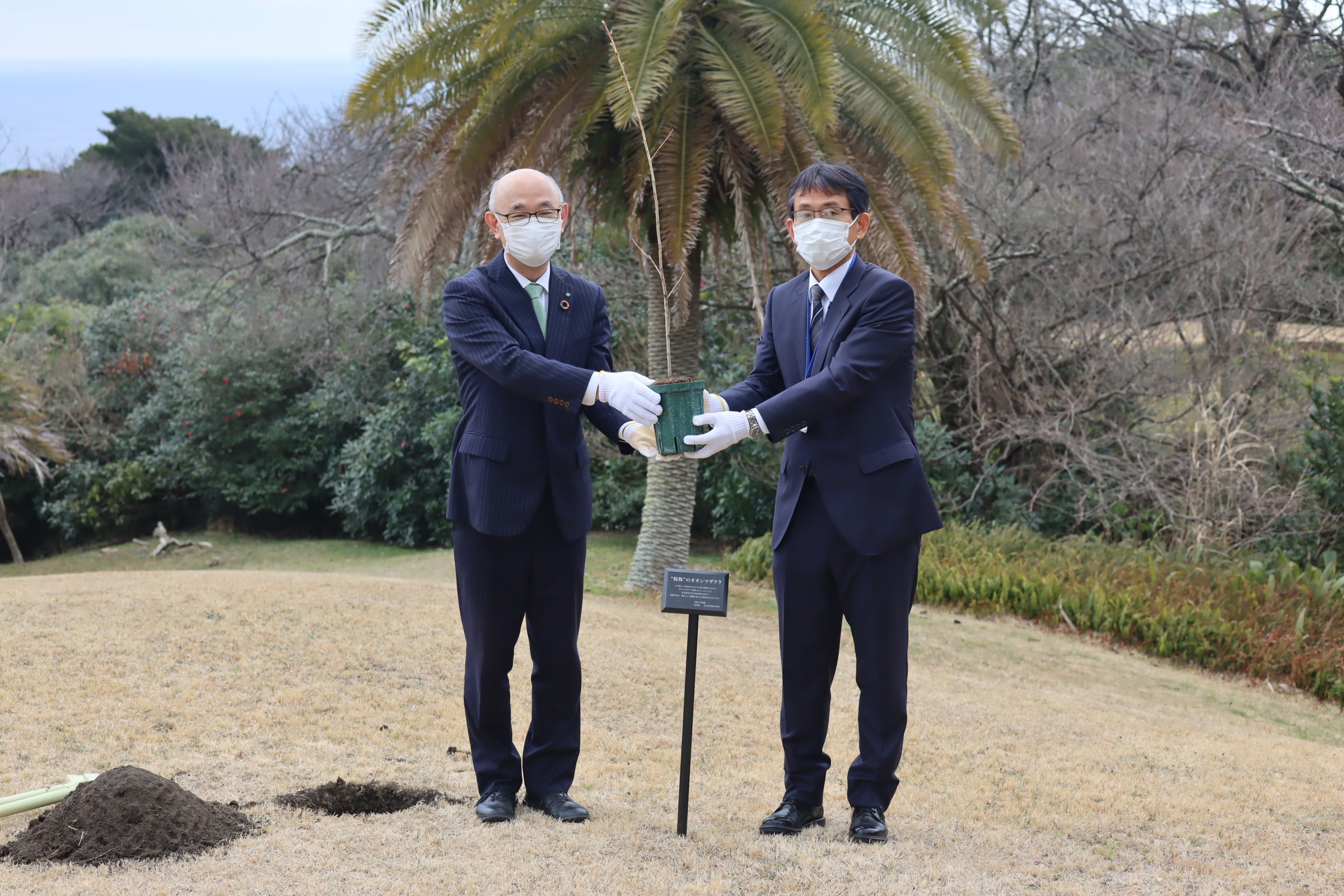 Tree-planting ceremony by the head of the Oshima Island Branch Office and Sumitomo Forestry