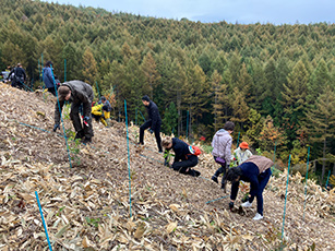 Tree Planting