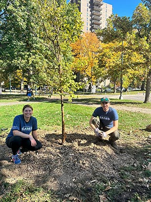 Reforestation activities