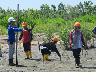 Planting Activities