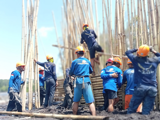 Constructing Protective Fences for Rare Tree Species Using Bamboo