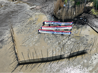 Completed Protective Fence