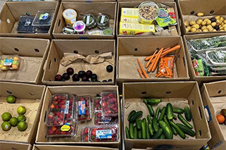 Food sorting work
