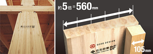 Strong Big Column with a Width More Than Five Times a Standard Pillar