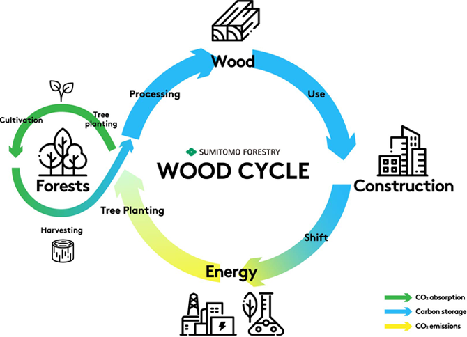 SUMITOMO FORESTRY WOOD CYCLE