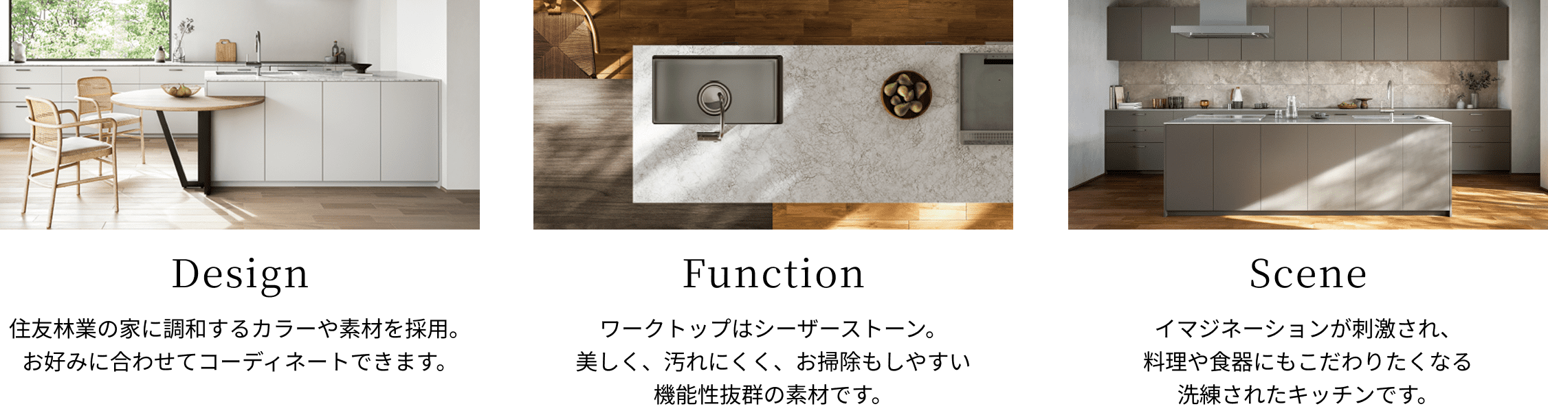 Design Function Scene