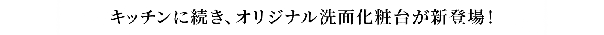 キッチンに続き、オリジナル洗面化粧台が新登場！