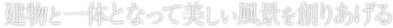 建物と一体となって美しい風景を創りあげる
