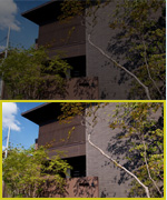 case7