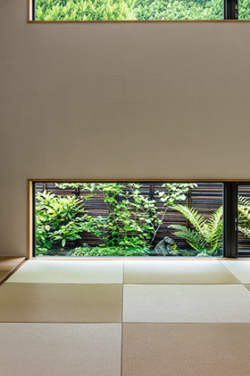 photo5