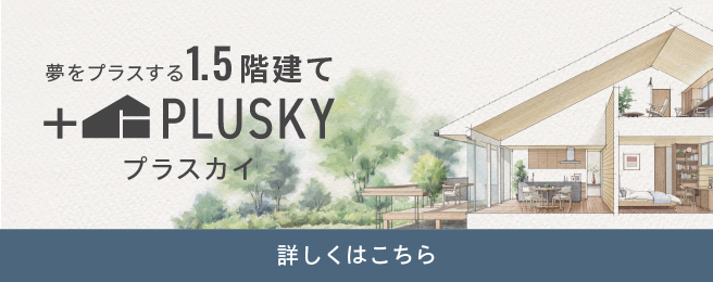 PLUSKY