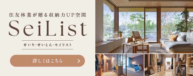 Seilist
