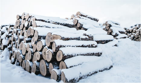 木のすべてを熟知のイメージ