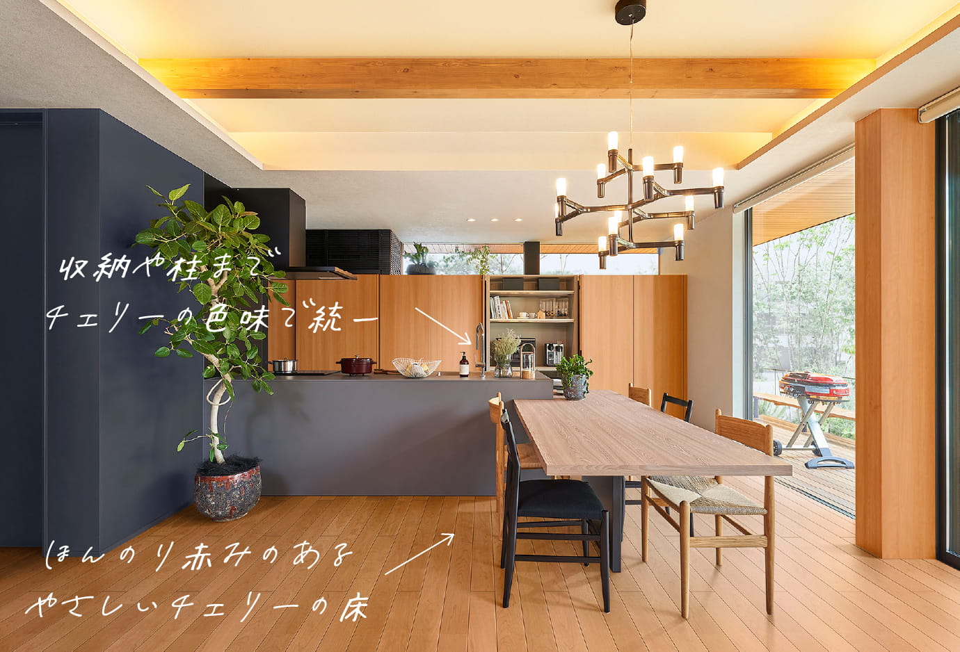 やわらかなチェリーのイメージ