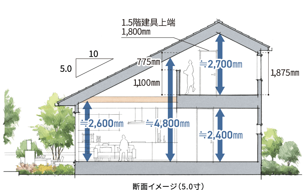 断面イメージ（5.0寸）