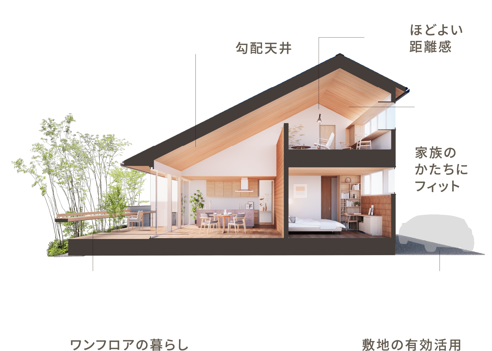 プラスカイイメージ