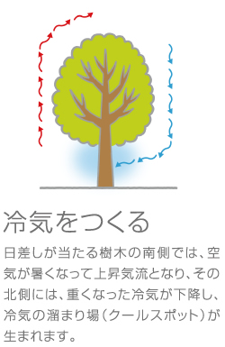 ��C������