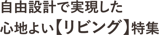 自由設計で実現した心地よい【リビング】特集