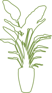 植木のイラスト