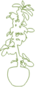 植木のイラスト
